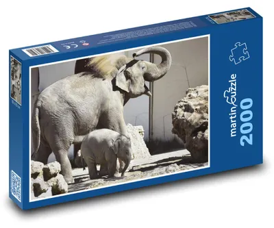Zdjęcie produktu dla martinpuzzle - Puzzle 2000 - Slůně - młode słonie i matka