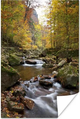 Produktbild von MuchoWow® Poster Fluss in einem herbstlichen Tal des deutschen Nationalparks Harz 60x90 cm - Wanddekoration