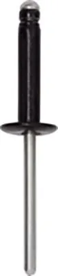 Produktbild von 20x RESTAGRAF Clip Zier- / Schutzleiste 4083 für RENAULT Clio III Schrägheck (BR0/1, CR0/1)