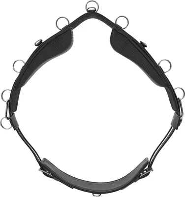 Produktbild von Kieffer Longiergurt FlexiFit SECU Pro, Farbe:schwarz, Größe:Warmblut