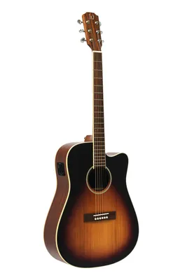 Produktbild von J. N. EZR-DCFI 4/4 Cutaway Akustik-Elektrik Dreadnought-Gitarre, De...