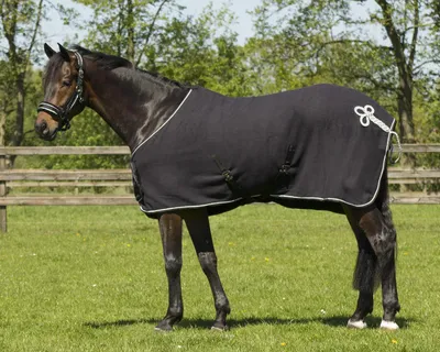 Obrázek produktu pro QHP fleecová deka s ornamentem černá/stříbrná, QHP17_velikost:145 cm