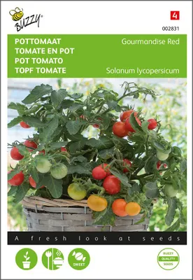 Produktbild von Topftomate Gourmandise Red | Kirschtomatensamen von Buzzy Seeds