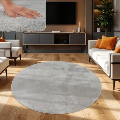 A living room scene with a round rug in the foreground.