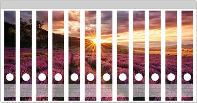 Produktbild von Wallario Ordnerrücken Sticker, selbstklebend für schmale Ordner, 12 Stück, Motiv Lavendelfeld bei Sonnenuntergang - Sonnenstrahlen