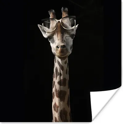 Produktbild von MuchoWow® Poster Giraffe - Brille - Schwarz 30x30 cm - Wandposter - Printing