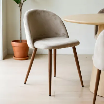 Produktbild von Esszimmerstühle NAVIA 2er Set, Hellgrau - Stühle mit Veloursstoff und gepolsterter Sitzfläche, Stuhl mit stabilen Metallbeinen, Esszimmermöbel im modernen Design [max. Belastbarkeit 150 kg]