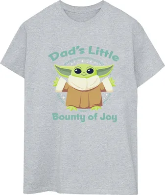 Produktbild von Star Wars - "The Mandalorian Bounty Of Joy" T-Shirt für Damen BI45886 (3XL) (Grau)