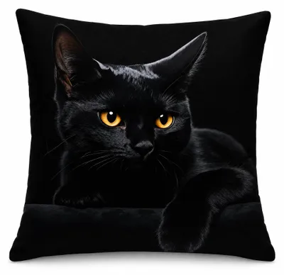 Produktbild von Kissenbezug 40x40 cm aus Plüsch mit Katzenmotiv
