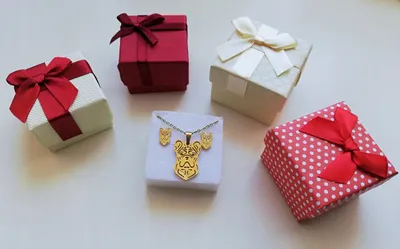 Obrázek produktu pro Řetízek pro psa buldočka + náušnice + ocelová krabička