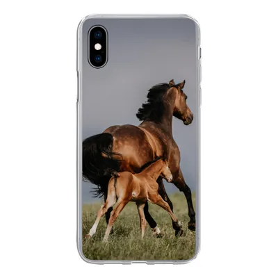 Produktbild von MuchoWow® Handyhülle Schutzhülle Hülle für iPhone Xs Tiere - Pferde - Fohlen Silikon Softcase Handy Hülle - Handytasche