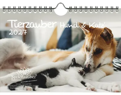 Produktbild von Tierzauber Hund und Katz DIN A5 Kalender für 2027 Freundschaften Hund Katze - Seelenzauber