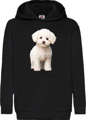 Zdjęcie produktu dla Dziecięca Bluza Z Kapturem Dogs Breeds Bichon Frise Dog Breed 006, 9-11 Jahr - 140 / Czarny