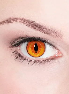 Produktbild von Orange Drachen Kontaktlinsen