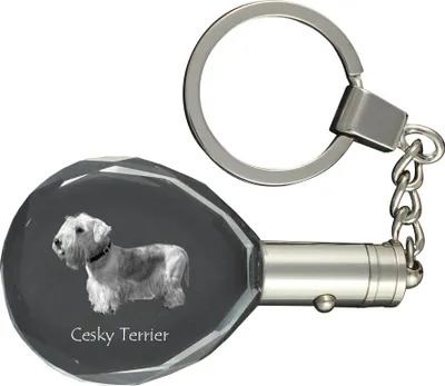 Produktbild von Tschechischer Terrier, Böhmischer Terrier, Český Teriér - Anhänger mit einem Foto eines Hundes, Schlüsselanhänger aus Kristall in einer Geschenkbox, ein einzigartiges Geschenk von Art-Dog