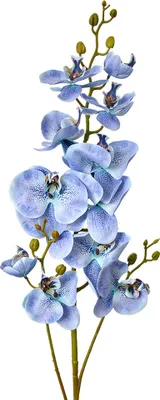 Immagine prodotto di Fiore artificiale Clayre & Eef 116 cm plastica blu