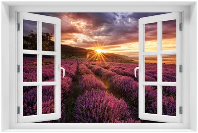 Produktbild von Wallario Premium Glasbild mit Fensterrahmen, freischwebende Optik, kräftige Farben, Größe 60 x 90 cm Motiv Lavendelfeld bei Sonnenuntergang - Sonnenstrahlen