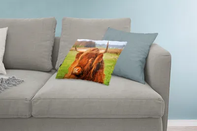 Produktbild von MuchoWow® Zierkissen Sofakissen Wohnzimmer Dekokissen 60x40 cm Schottisches Hochlandrind - Gras - Baum - Kopfkissen - Polster mit Foto