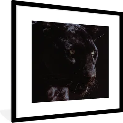 Produktbild von MuchoWow® Gerahmtes Poster Panther - Tier - Schwarz 40x40 cm - Poster mit Schwarzem Bilderrahmen Wandposter Rahmen Foto Bilder - Poster - Plakat im Rahmen
