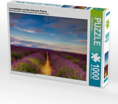 Produktbild von Calvendo Lavendelfelder auf dem Valensole Plateau 1000 Teile Puzzle quer 640x480mm, Schonnop Juergen; 7303842