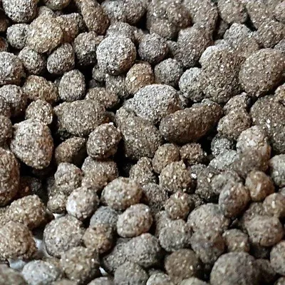 Image de Biohome Biogravel est un nouveau média filtrant pour les filtres d'aquarium 1 kg