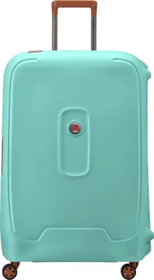 Image de DELSEY PARIS trolley Moncey 4 Double Rolls Trolley 76 Almond menthe