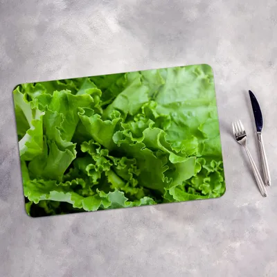 Produktbild von Tischset 4x45x30 cm + 10fi cm Platzset Tischmatte Platzmatte Untersetzer - Kopfsalat grün Salat