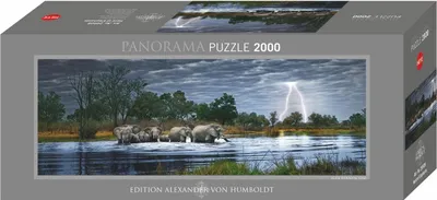 Produktbild von Herd of Elephants 2000 Teile