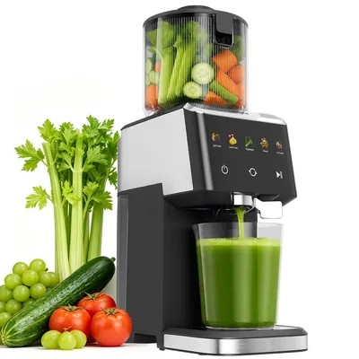 Produktbild von FATABETA Entsafter Slow Juicer 135 mm Große Öffnung elektrisch entsafter für Gemüse und Obst 1,6 L Füllvolumen mit 2 Gläsern, Elektrische Saftpresse