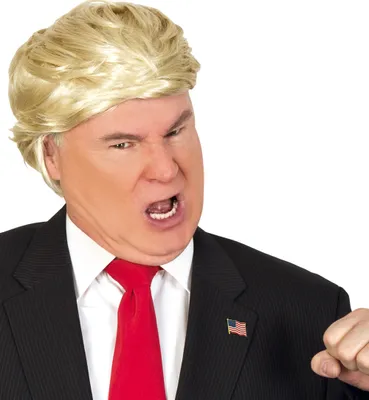 Produktbild von Perücke Donald Blond Karneval Fasching Halloween Party Cosplay