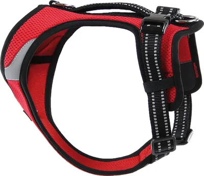 Produktbild von SwissPet Hundegeschirr Lord rot - Größe XXXS