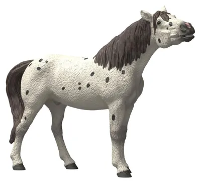 Produktbild von schleich BAYALA 14916, 5 Jahr(e), Mehrfarbig, Kunststoff