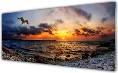 Produktbild von Glasbilder 125x50 Wandbild Druck auf Glas Möwe Meer Strand Landschaft