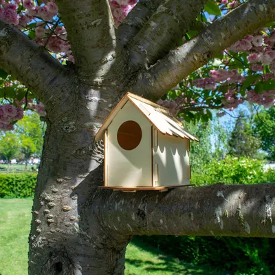 Produktbild von Vogelhaus Bauset für Kinder, Holz, bunt, DIY
