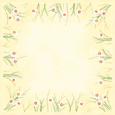 Immagine prodotto di Mitteld.84x84Daffodil Joy 20St