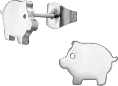 Produktbild von Ohrringe Ohrstecker 316L Chirurgenstahl mit Schwein in verschiedenen Farben Farbe - Silber