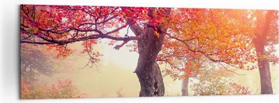 Produktbild von Bild auf Leinwand - Leinwandbild - Baum Natur Wiese - 160x50cm - Wand Bild - Wanddeko - Wandbilder - Leinwanddruck - Bilder - Kunstdruck - Wanddekoration - Leinwand bilder - Wandkunst - AB160x50-3658
