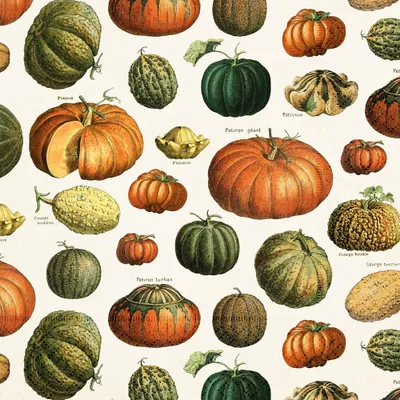 Obrázek produktu pro Papírový ubrousek Pumpkins