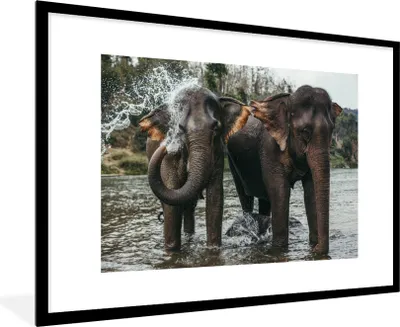Produktbild von MuchoWow® MuchoWow® Gerahmtes Poster Elefant - Wasser - Fluss 90x60 cm - Poster mit zchwarzem Bilderrahmen - Wanddekoration - Fotos