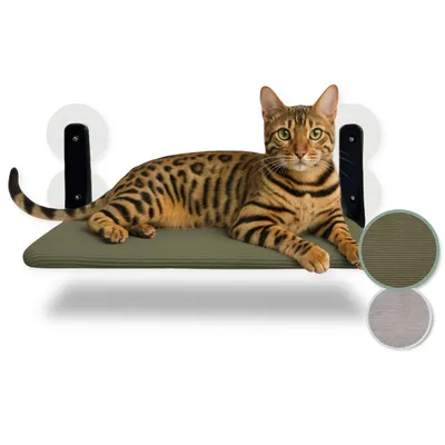 Produktbild von Schwebende Katzenfensterliege – Klappbare & platzsparende Katzenliege mit Saugnäpfen I Wendbare Hängematte für Fenster I Katzenbett bis 20 kg