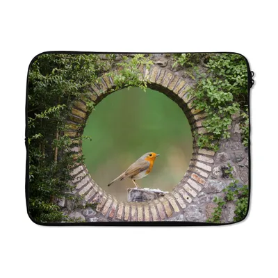 Produktbild von MuchoWow® Laptop Hülle 17 Zoll Laptoptasche Vogel - Durchblick - Rotkehlchen - Zipper - Schutzabdeckung