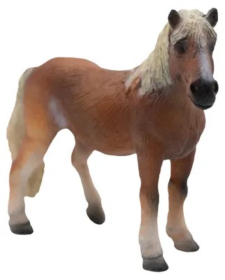 Produktbild von Bullyland 62696 - Spielfigur Haflinger Stute, ca. 13,1 cm, detailgetreu, PVC-frei, ideal als kleines Geschenk für Kinder ab 3 Jahren