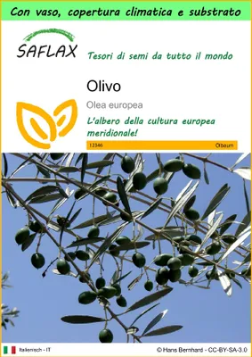 Immagine prodotto di SAFLAX Garden to go - Olivo - 20 semi - Olea
