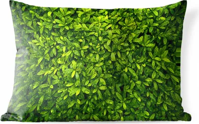 Produktbild von MuchoWow® Outdoor Kissen - Hellgrüne Blätter - 60x40 cm - Wetterfest - Lounge Kissen - Zierkissen - Kissen für Innenräume