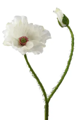 Produktbild von Kunstblume MOHN mit Blüte und Knospe. Mohnblume ca 48cm. CREME