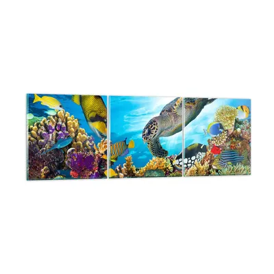 Produktbild von Bilder auf glas - Riff Koralle Fisch - 150x50cm - Glasbilder - Wandbilder - Kunstdruck - zum Aufhängen bereit - Wanddekoration aus Glas - Glas Bilder - Wandbild auf Glas - 3 Teile - GCA150x50-3704