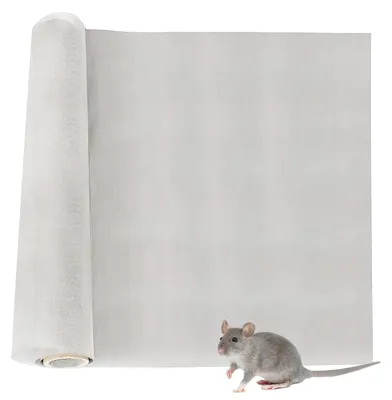 Productafbeelding van Insectenwerend gaas, 30 x 100 cm