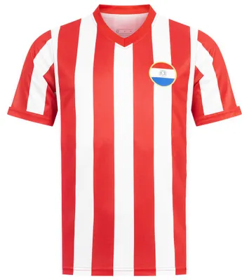 Produktbild von 2XL JLX-389|Paraguay "Retro History" JELEX Herren Trikot