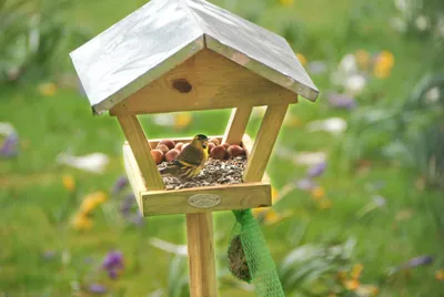Produktbild von Esschert Design Vogelfutterhaus; FB72