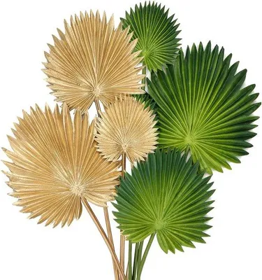 Image de Feuilles artificielles tropicales, lot de 6, enPolyuréthanesouple, vert et doré, pour la décoration de la maison, du jardin et du bureau